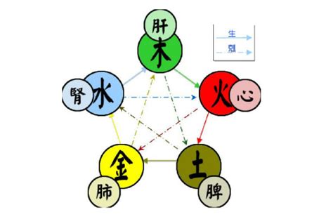 五行属性|五行（对万事万物的取象比类）